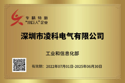 22-專(zhuan)精(jīng)特新(xin)“小(xiǎo)巨人(ren)”齊(qi)業